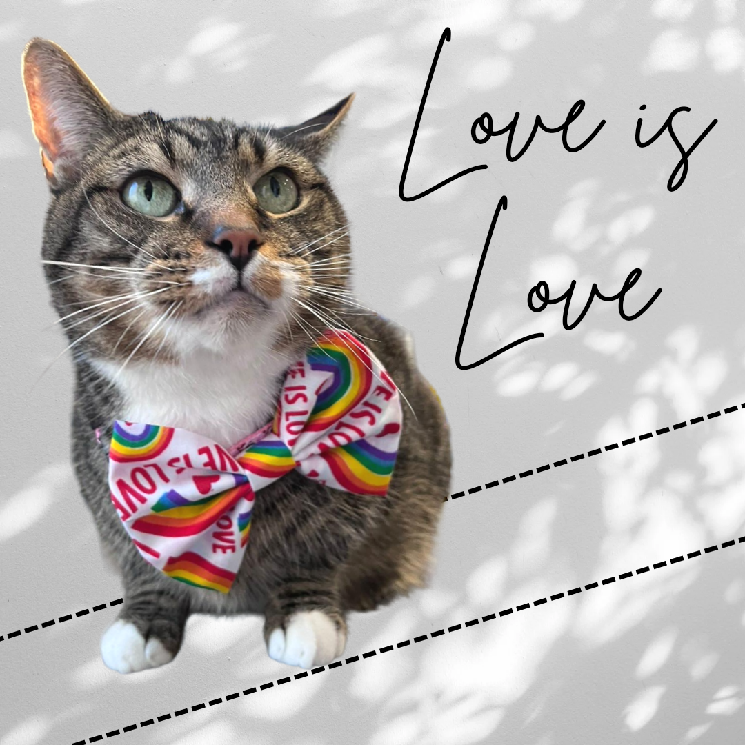 Love is....