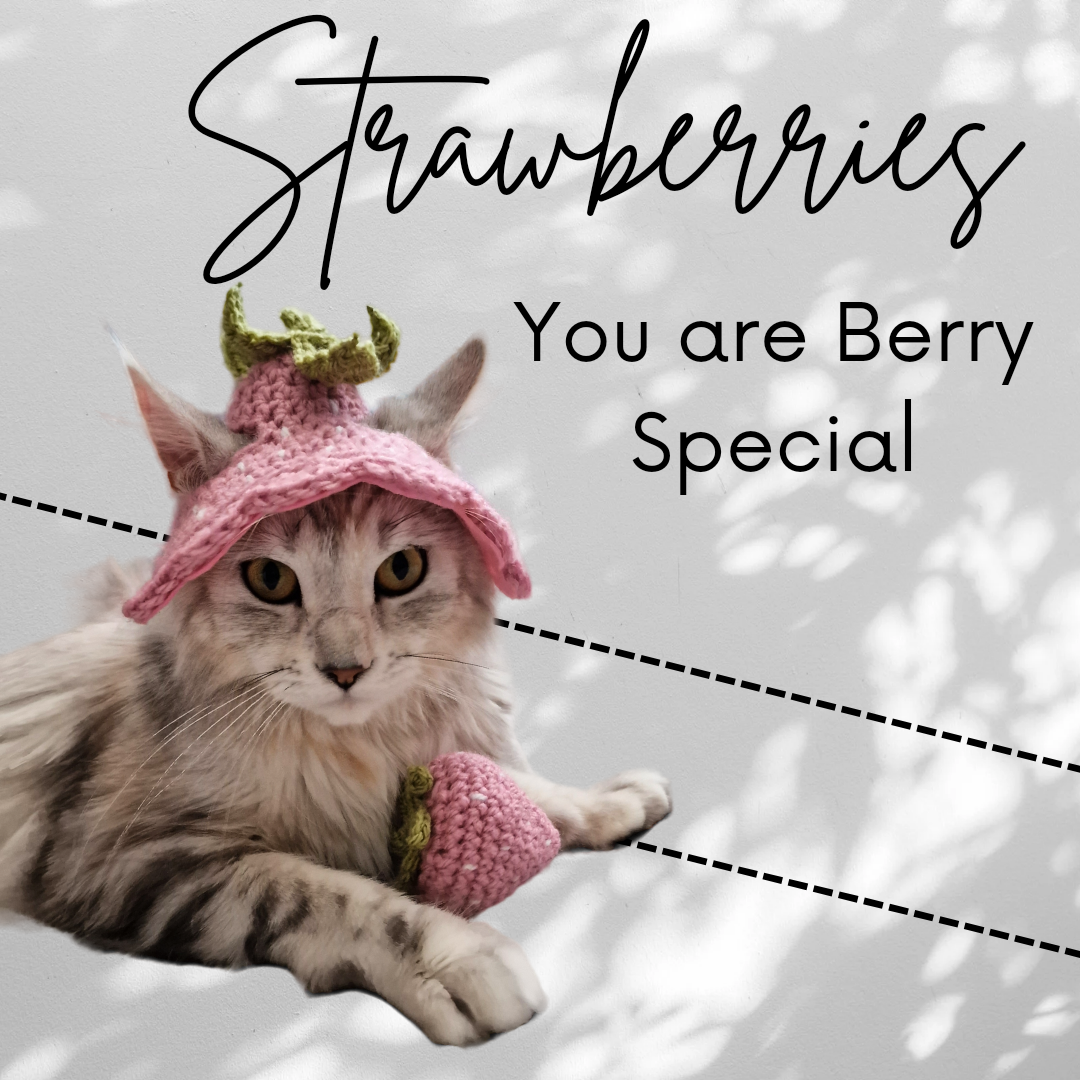 Catnip Strawberry Toys