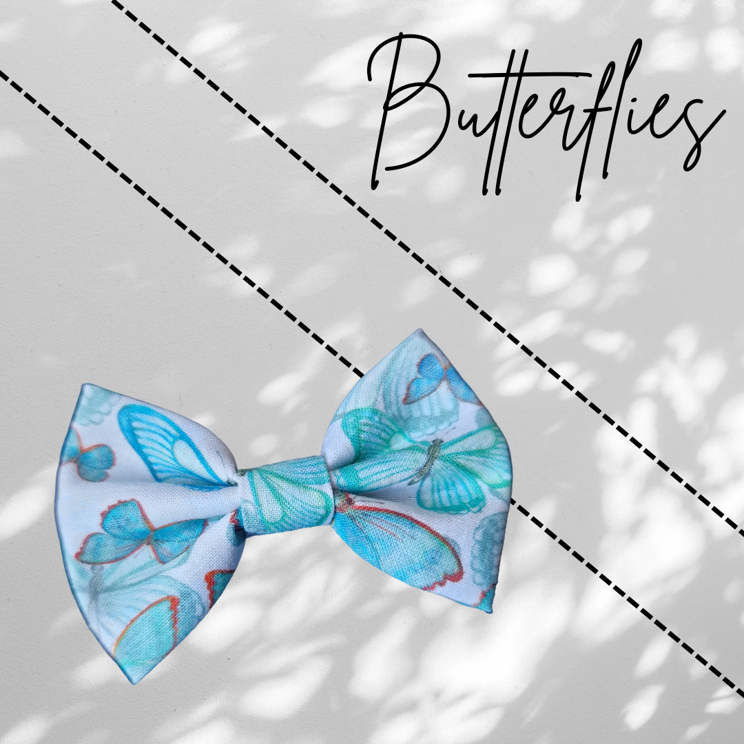 Kitten Bows