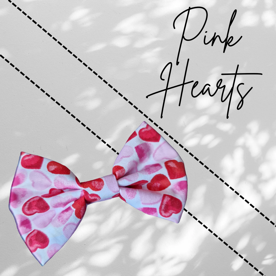 Kitten Bows