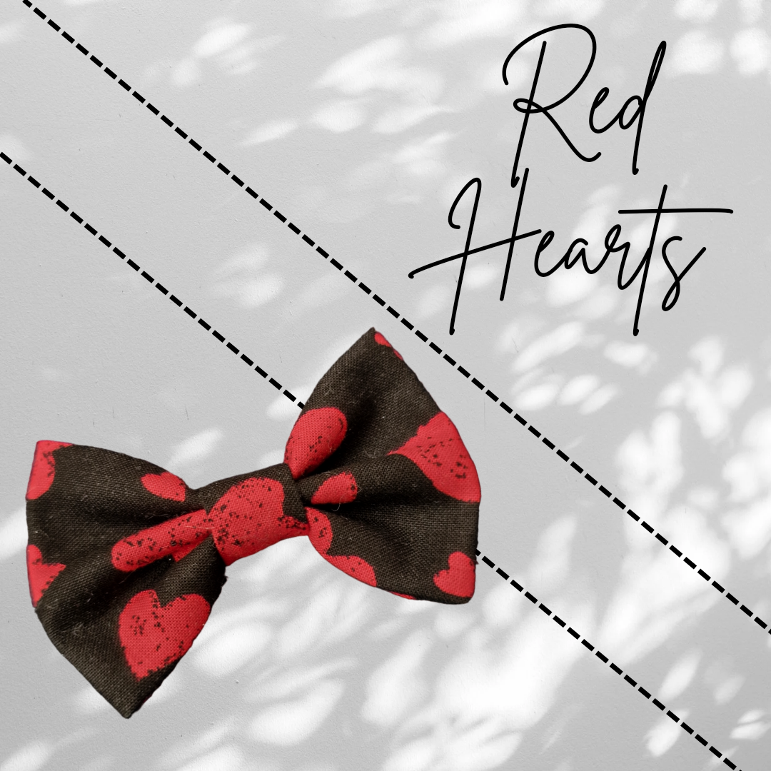 Kitten Bows