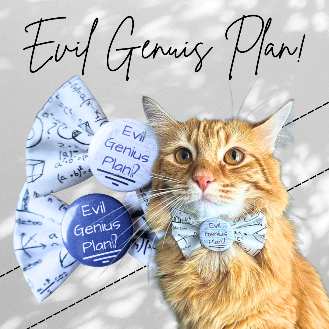 Evil Genius Plan!
