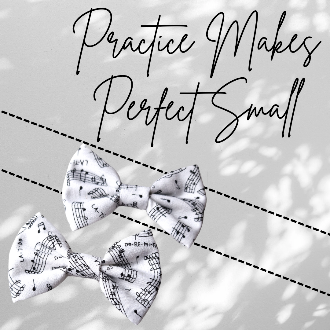 Practice Makes Perfect Small