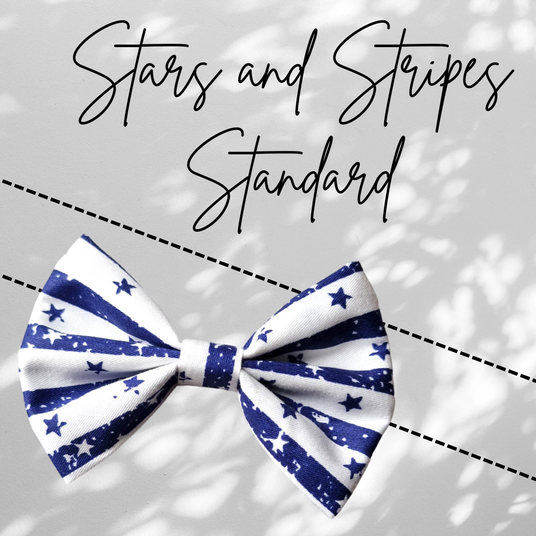Stars And Stripes Standard