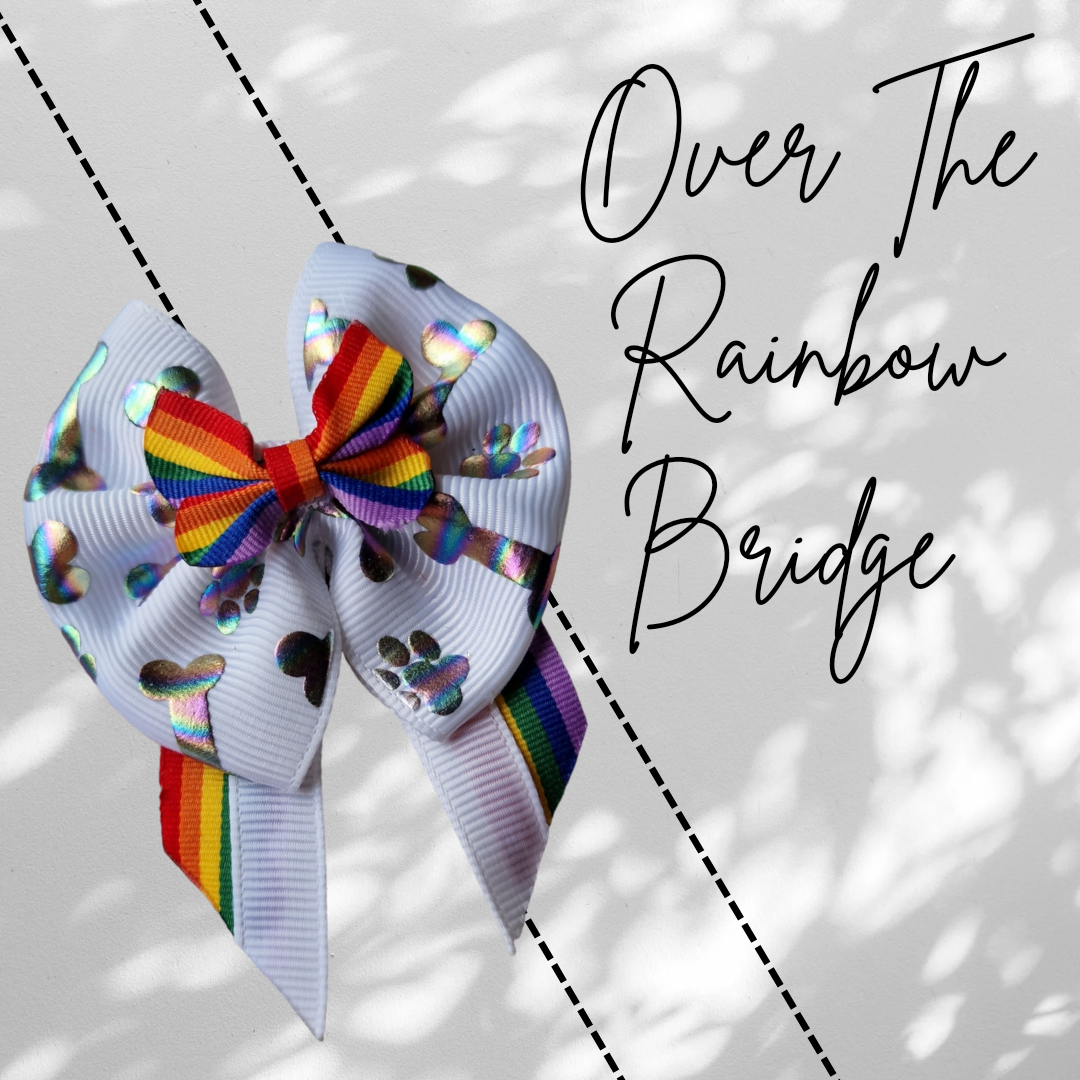 Over The Rainbow Bridge