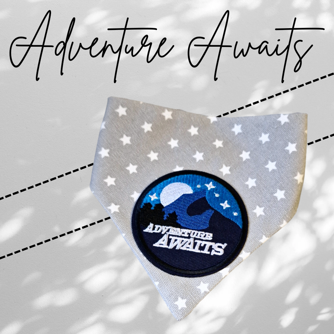 Adventure Awaits