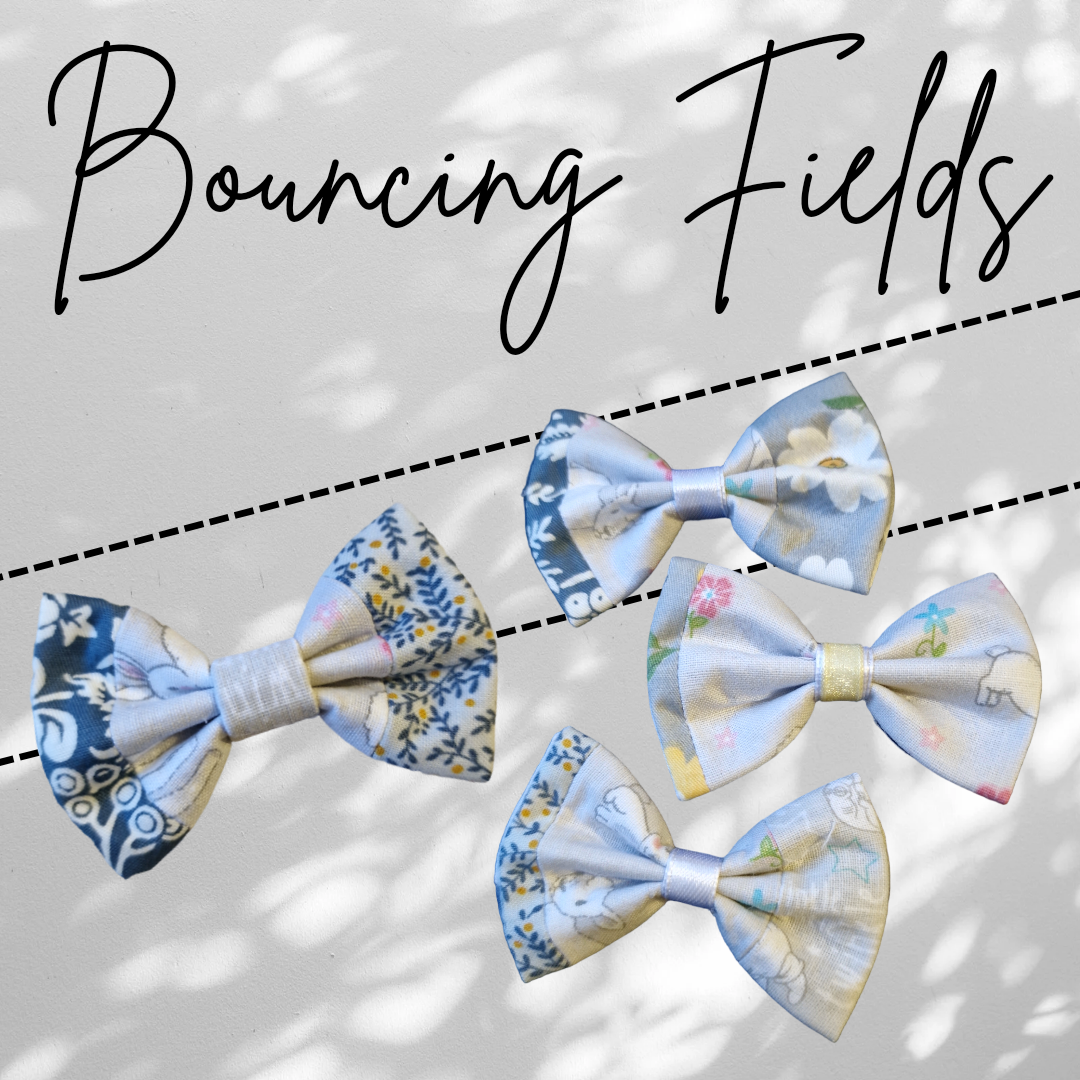 Bouncing Fields