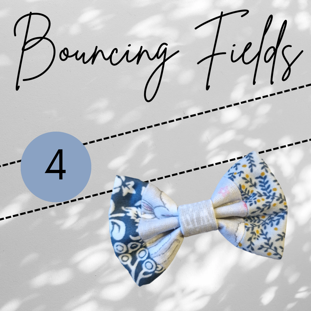 Bouncing Fields