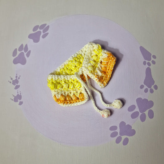 Daffodils and Daisies